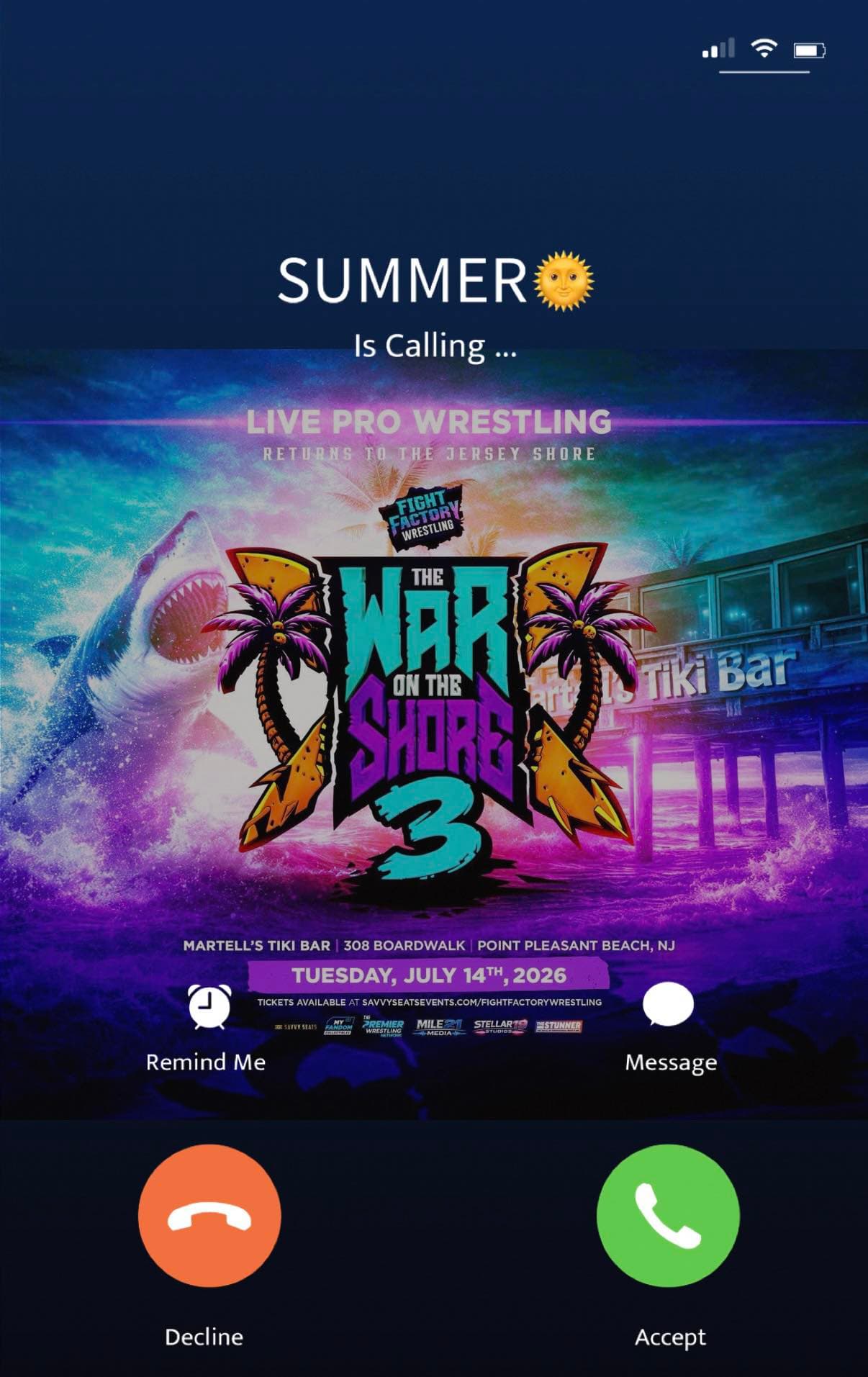 Wrestling Action 8